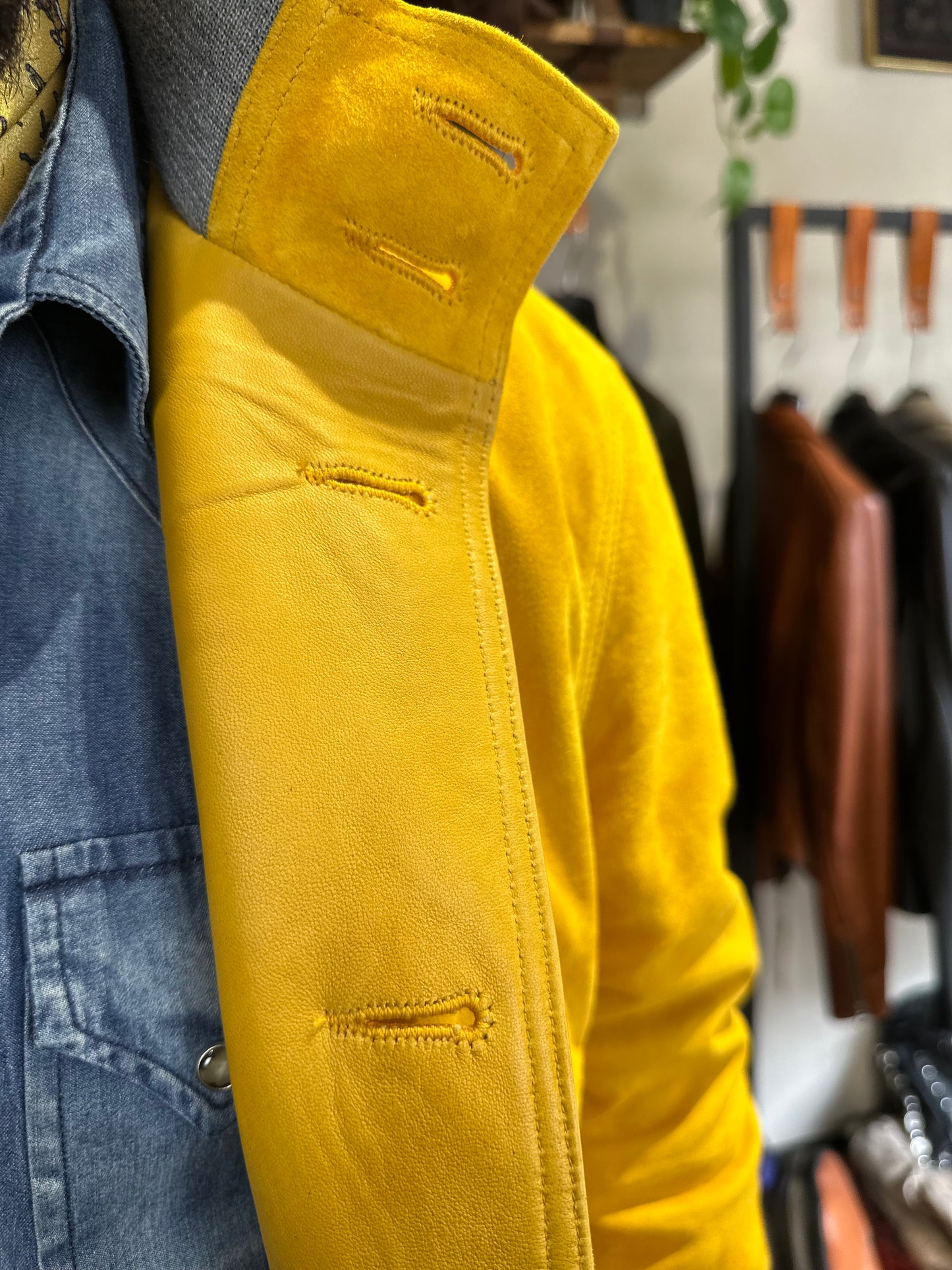 “Brera” in capra scamosciata Velour mimosa